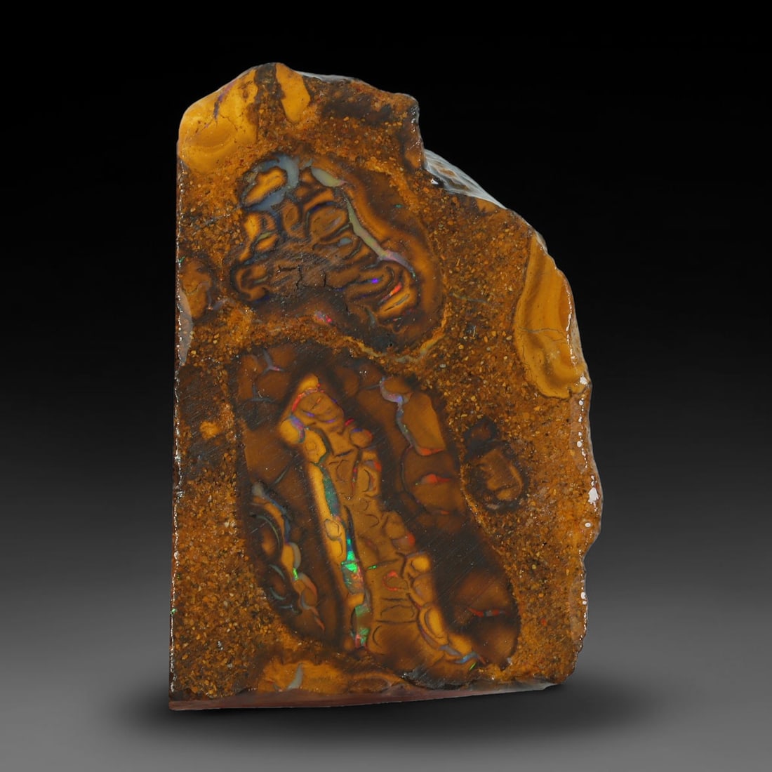 49.86ct Natural Australian Queensland Boulder Opal Sliced Slab Cutting Rough, 77YL: Natural sliced slab rough of Queensland boulder opal cutting grade, featuring rich color ironstone matrix with patterns. The face clearly reveals extensive opal veining and pocket formations running t