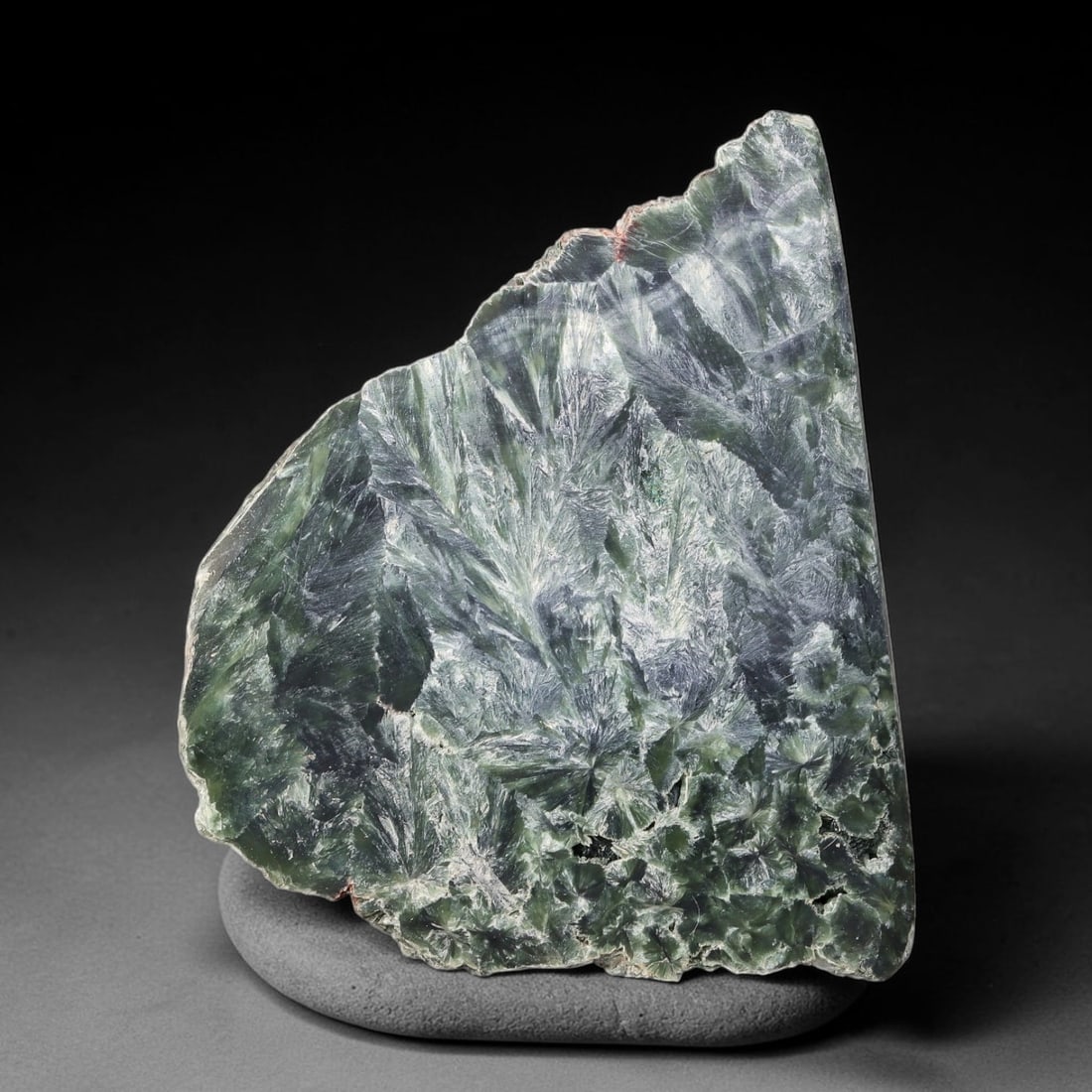 77ct Natural Siberian Seraphinite Polished Rough Slab, 63WV: This polished mineral slab is natural seraphinite originating from Siberian deposits, displaying characteristic radiating crystalline fibrous formations with layered deep forest and silvery green band