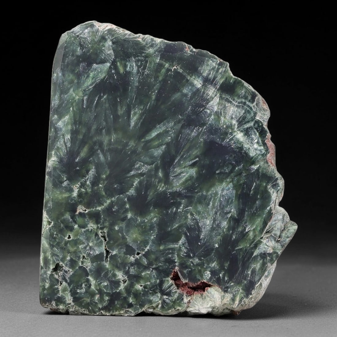 96ct Natural Siberian Seraphinite Polished Rough Slab, 27WV: This polished mineral slab is natural seraphinite originating from Siberian deposits, displaying characteristic radiating crystalline fibrous formations with layered deep forest and silvery green band