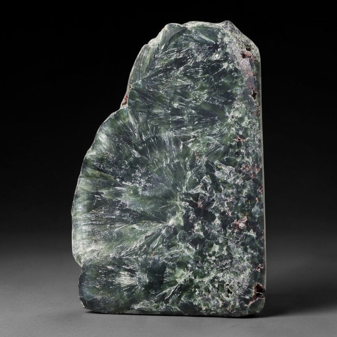 82ct Natural Siberian Seraphinite Polished Rough Slab, 6WV: This polished mineral slab is natural seraphinite originating from Siberian deposits, displaying characteristic radiating crystalline fibrous formations with layered deep forest and silvery green band