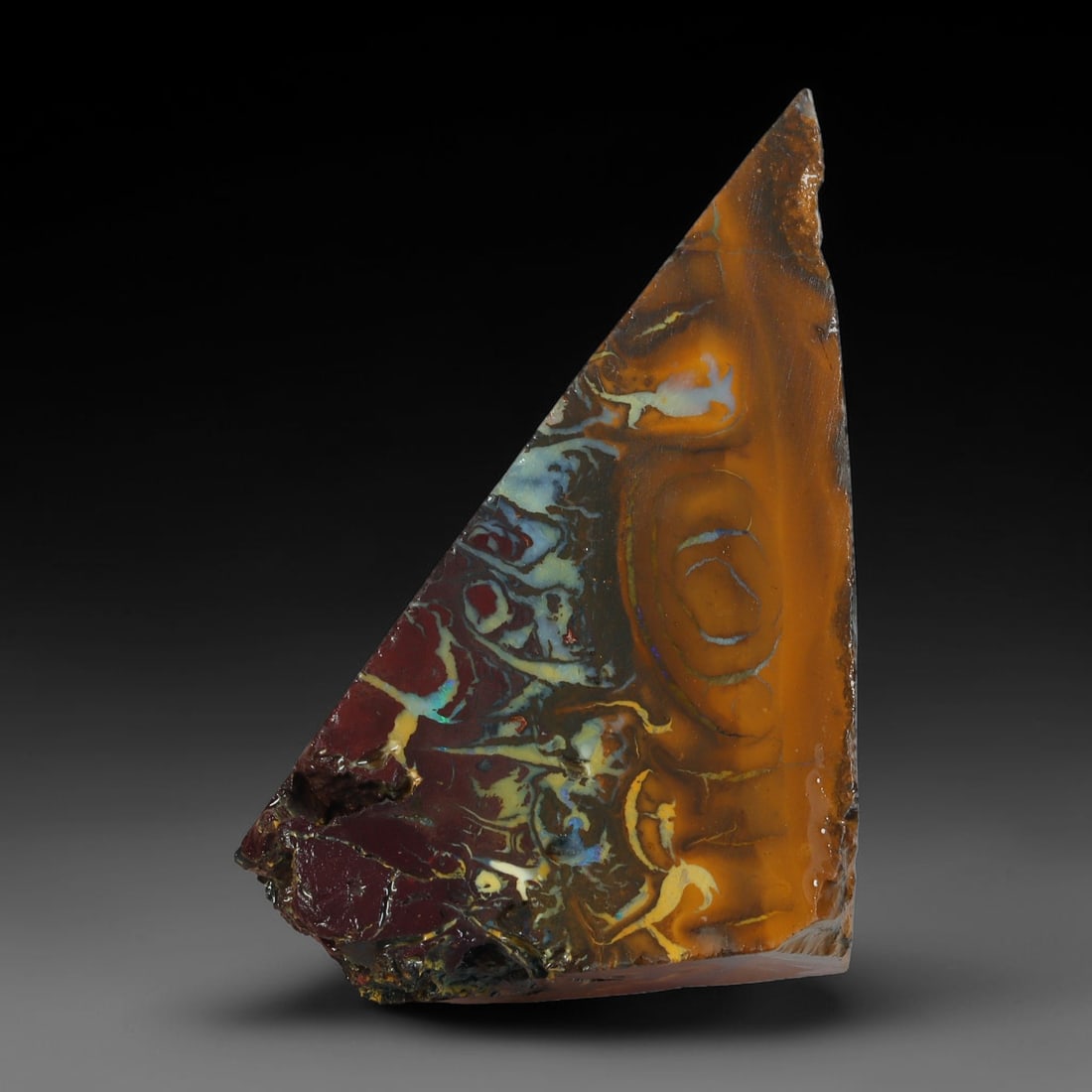 61.70ct Natural Australian Queensland Boulder Opal Sliced Slab Cutting Rough, 74YL: Natural sliced slab rough of Queensland boulder opal cutting grade, featuring rich color ironstone matrix with patterns. The face clearly reveals extensive opal veining and pocket formations running t