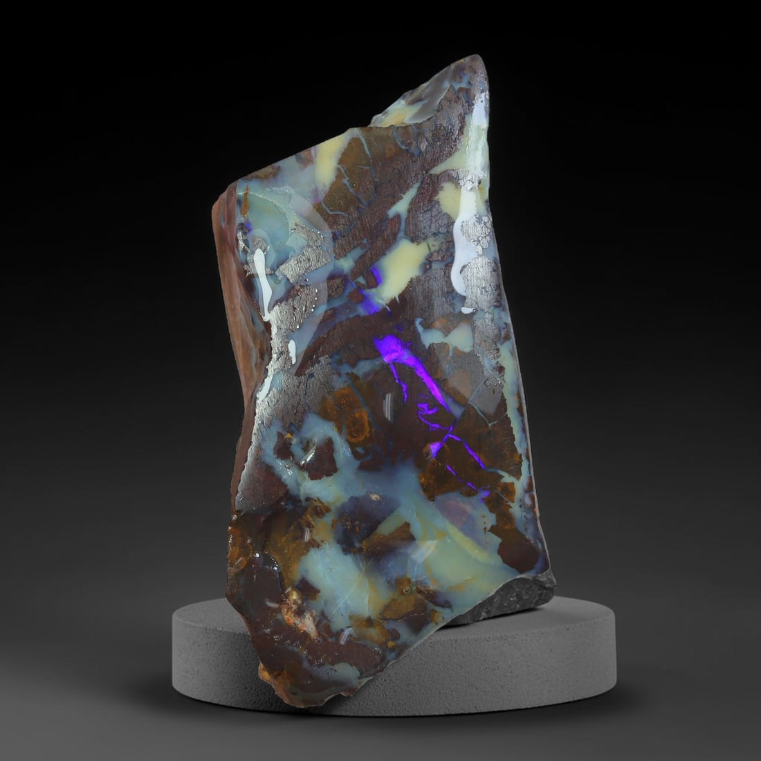 71.48ct Natural Australian Queensland Boulder Opal Sliced Slab Cutting Rough, 2YP: Natural sliced slab rough of Queensland boulder opal cutting grade, featuring rich color ironstone matrix with patterns. The face clearly reveals extensive opal veining and pocket formations running t