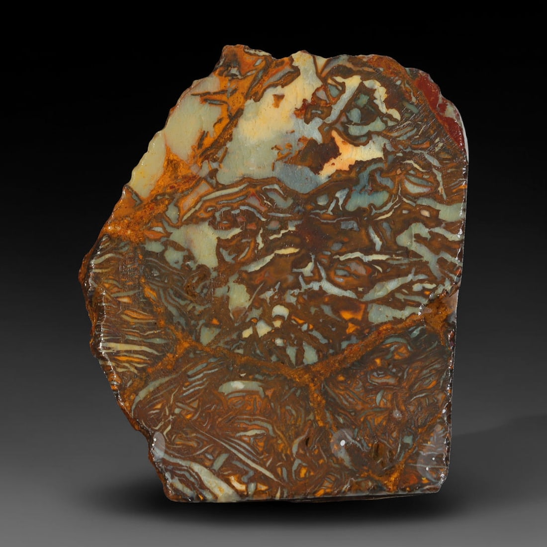 58.28ct Natural Australian Queensland Boulder Opal Sliced Slab Cutting Rough, 24YL (1 of 2)