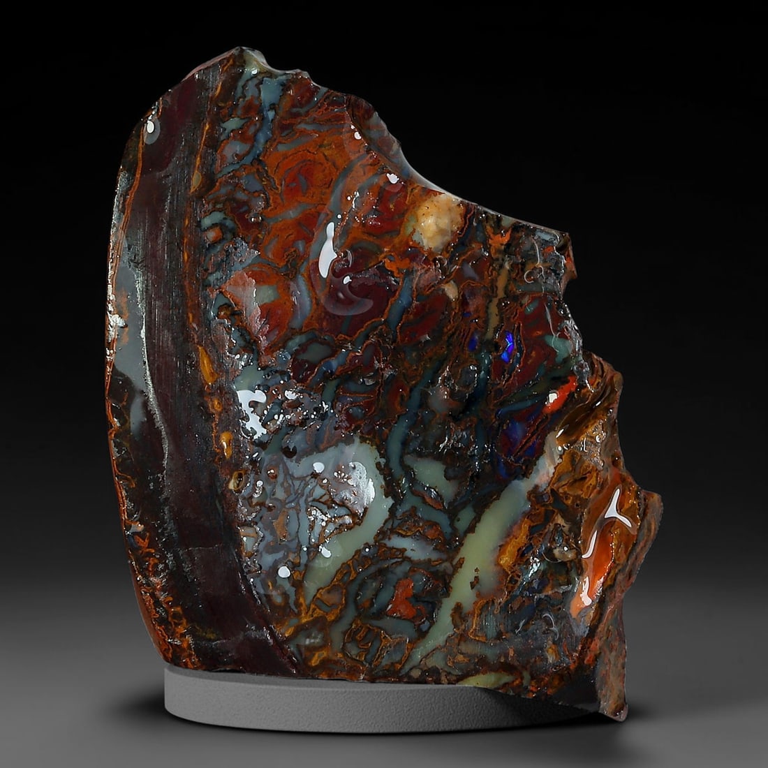 14.90ct Natural Australian Queensland Boulder Opal Sliced Slab Cutting Rough, 100YP: Natural sliced slab rough of Queensland boulder opal cutting grade, featuring rich color ironstone matrix with patterns. The face clearly reveals extensive opal veining and pocket formations running t