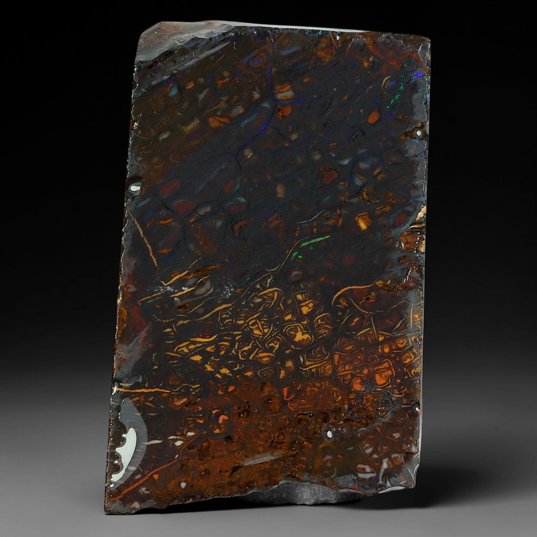 48.44ct Natural Australian Queensland Boulder Opal Sliced Slab Cutting Rough, 46YP: Natural sliced slab rough of Queensland boulder opal cutting grade, featuring rich color ironstone matrix with patterns. The face clearly reveals extensive opal veining and pocket formations running t