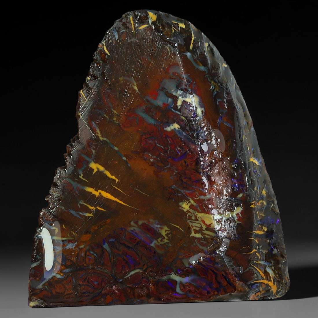 52.13ct Natural Australian Queensland Boulder Opal Sliced Slab Cutting Rough, 53YP: Natural sliced slab rough of Queensland boulder opal cutting grade, featuring rich color ironstone matrix with patterns. The face clearly reveals extensive opal veining and pocket formations running t