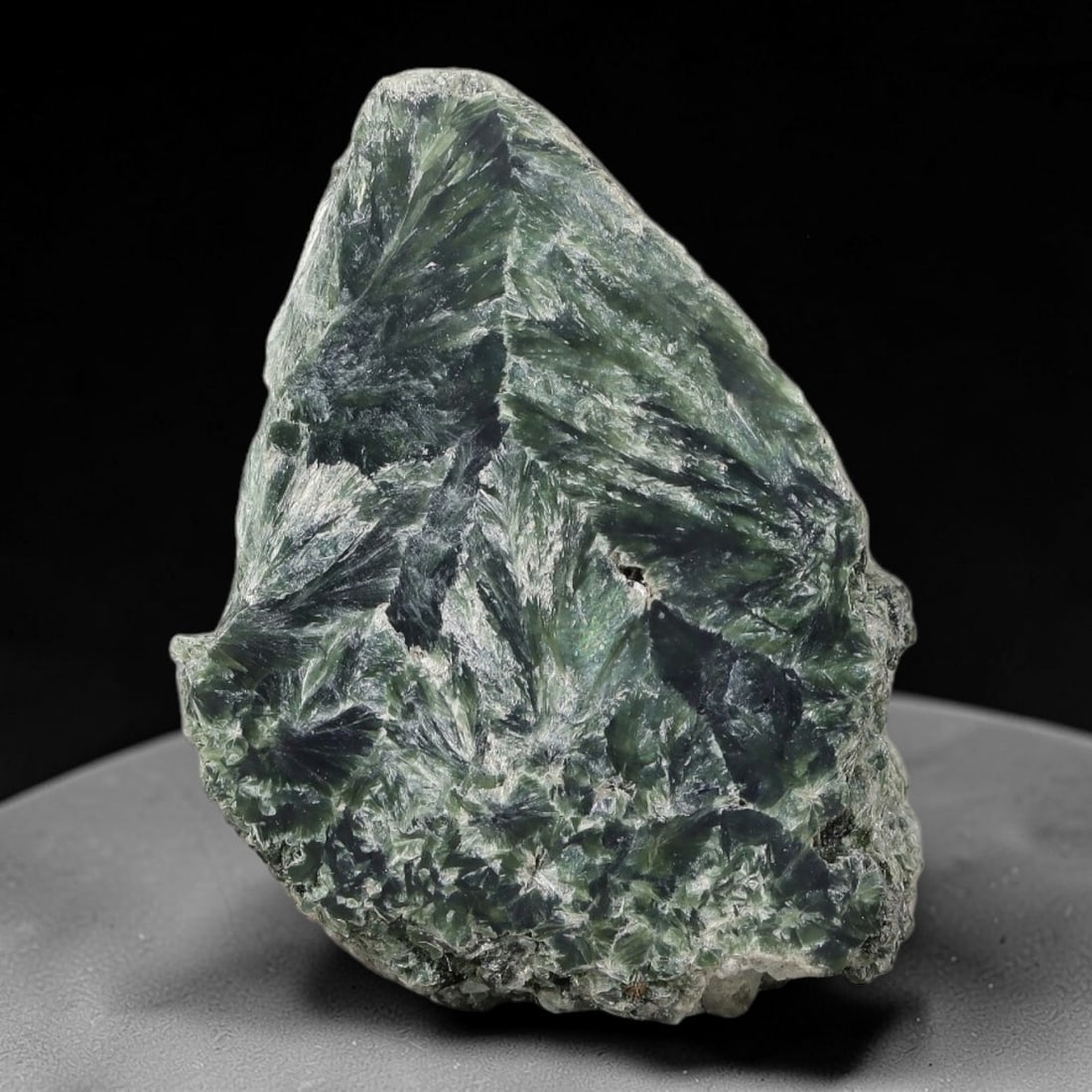 102ct Natural Siberian Seraphinite Polished Rough Slab, 2WV: This polished mineral slab is natural seraphinite originating from Siberian deposits, displaying characteristic radiating crystalline fibrous formations with layered deep forest and silvery green band