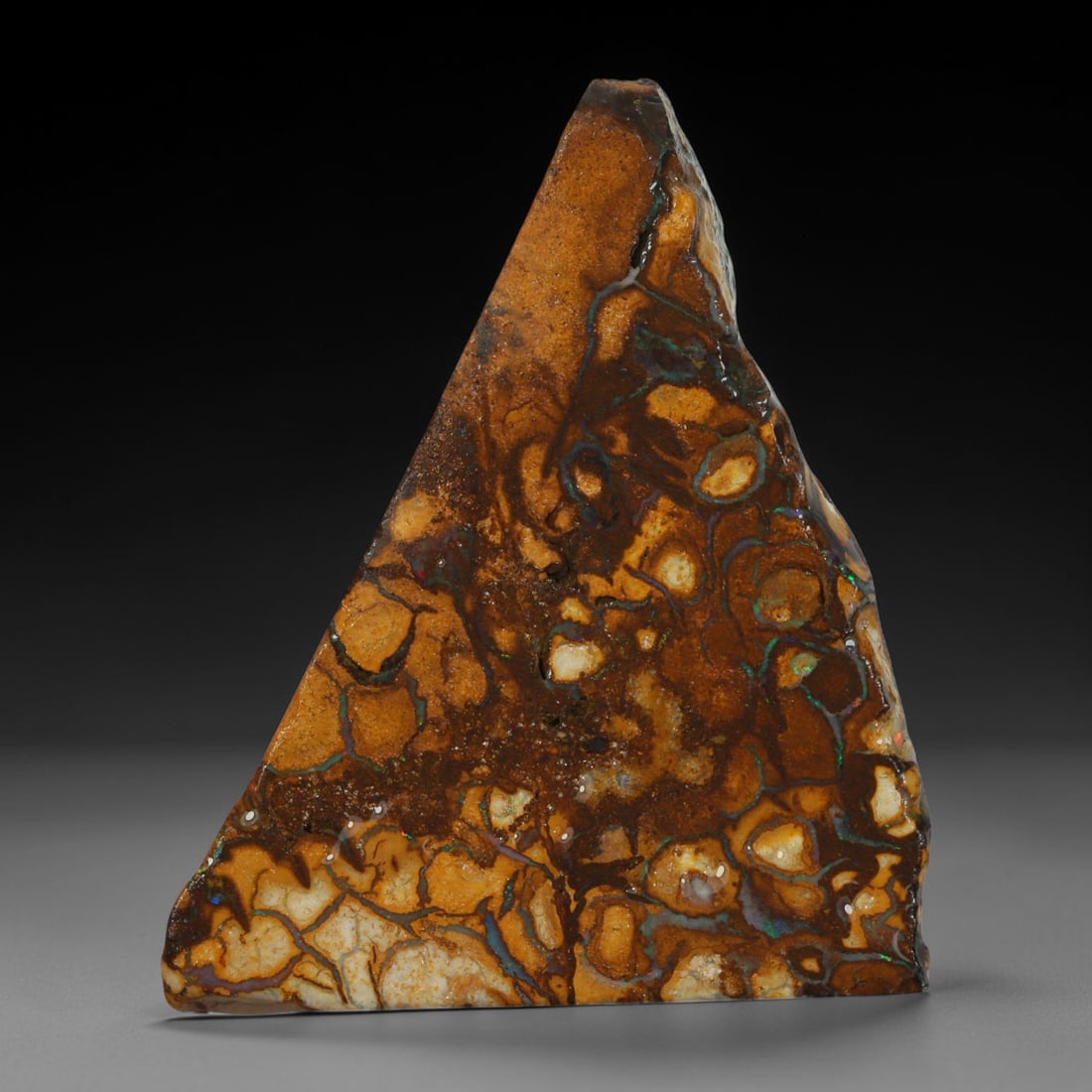 39.73ct Natural Australian Queensland Boulder Opal Sliced Slab Cutting Rough, 56YP: Natural sliced slab rough of Queensland boulder opal cutting grade, featuring rich color ironstone matrix with patterns. The face clearly reveals extensive opal veining and pocket formations running t