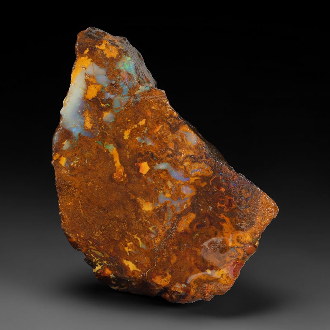 59.70ct Natural Australian Queensland Boulder Opal Sliced Slab Cutting Rough, 26YL: Natural sliced slab rough of Queensland boulder opal cutting grade, featuring rich color ironstone matrix with patterns. The face clearly reveals extensive opal veining and pocket formations running t