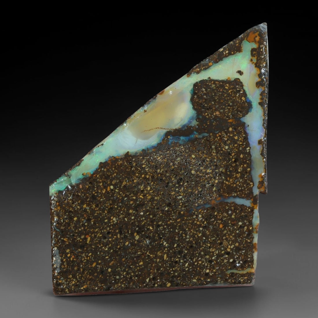 27.55ct Natural Australian Queensland Boulder Opal Sliced Slab Cutting Rough, 5YP: Natural sliced slab rough of Queensland boulder opal cutting grade, featuring rich color ironstone matrix with patterns. The face clearly reveals extensive opal veining and pocket formations running t