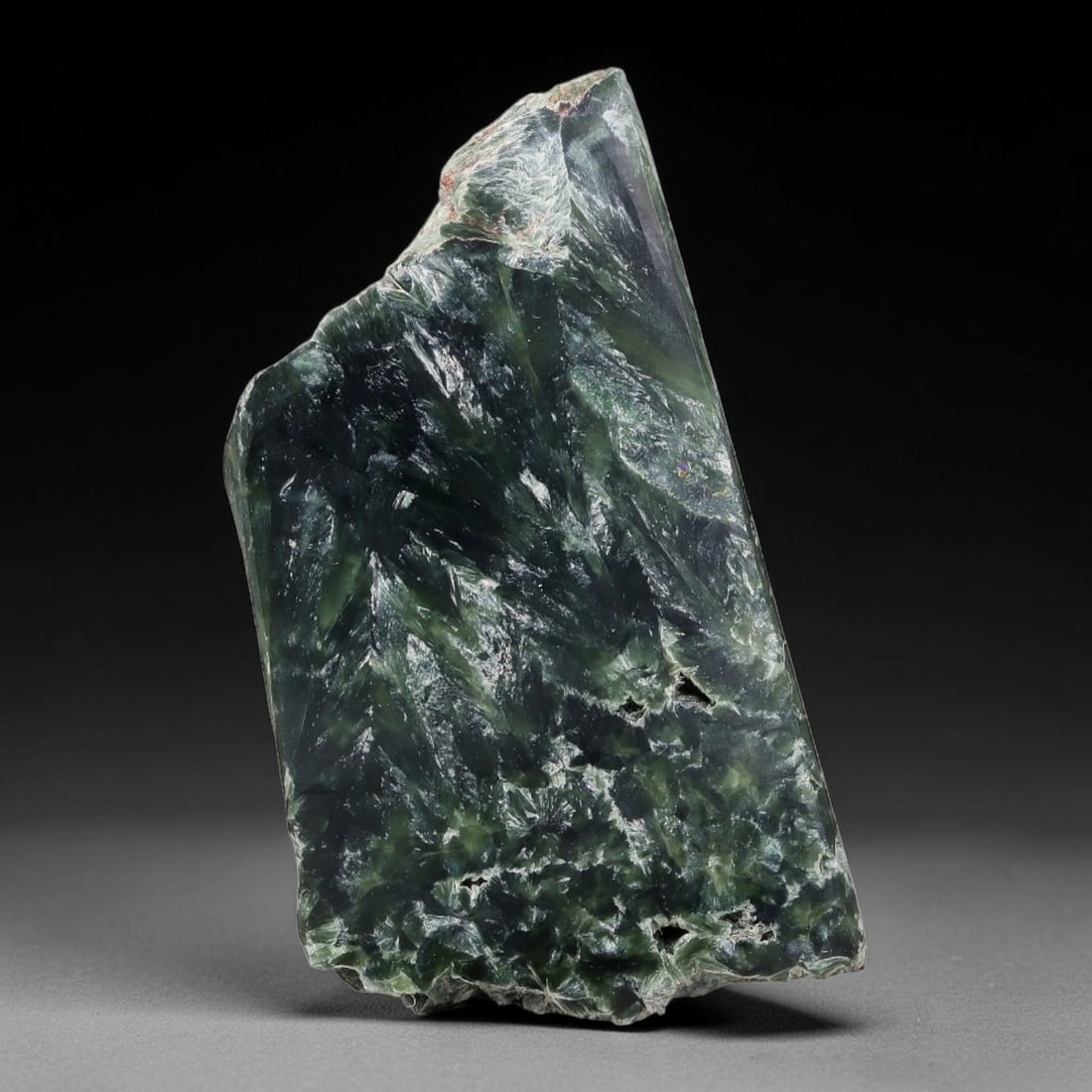 45ct Natural Siberian Seraphinite Polished Rough Slab, 32WV: This polished mineral slab is natural seraphinite originating from Siberian deposits, displaying characteristic radiating crystalline fibrous formations with layered deep forest and silvery green band