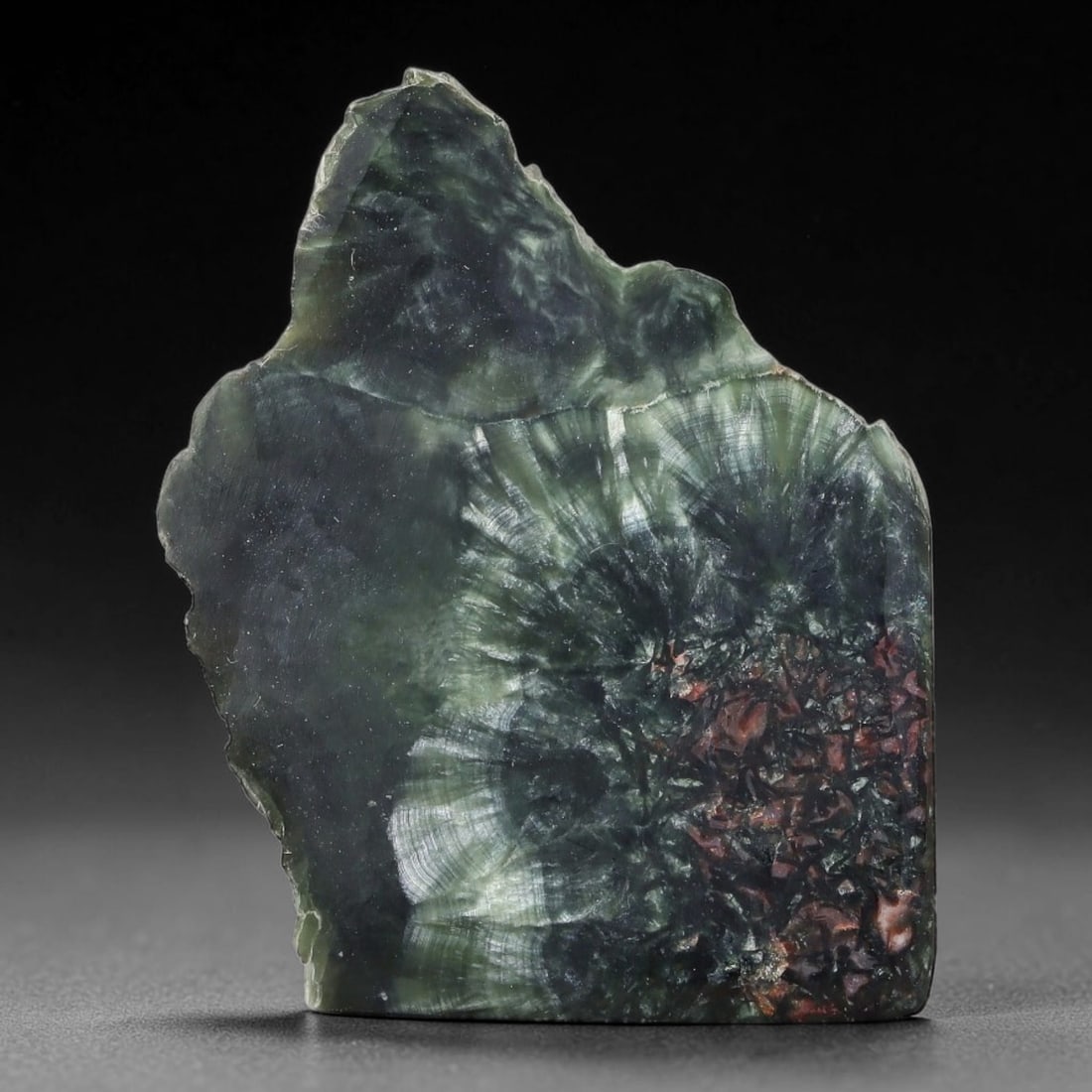 66ct Natural Siberian Seraphinite Polished Rough Slab, 9WV: This polished mineral slab is natural seraphinite originating from Siberian deposits, displaying characteristic radiating crystalline fibrous formations with layered deep forest and silvery green band