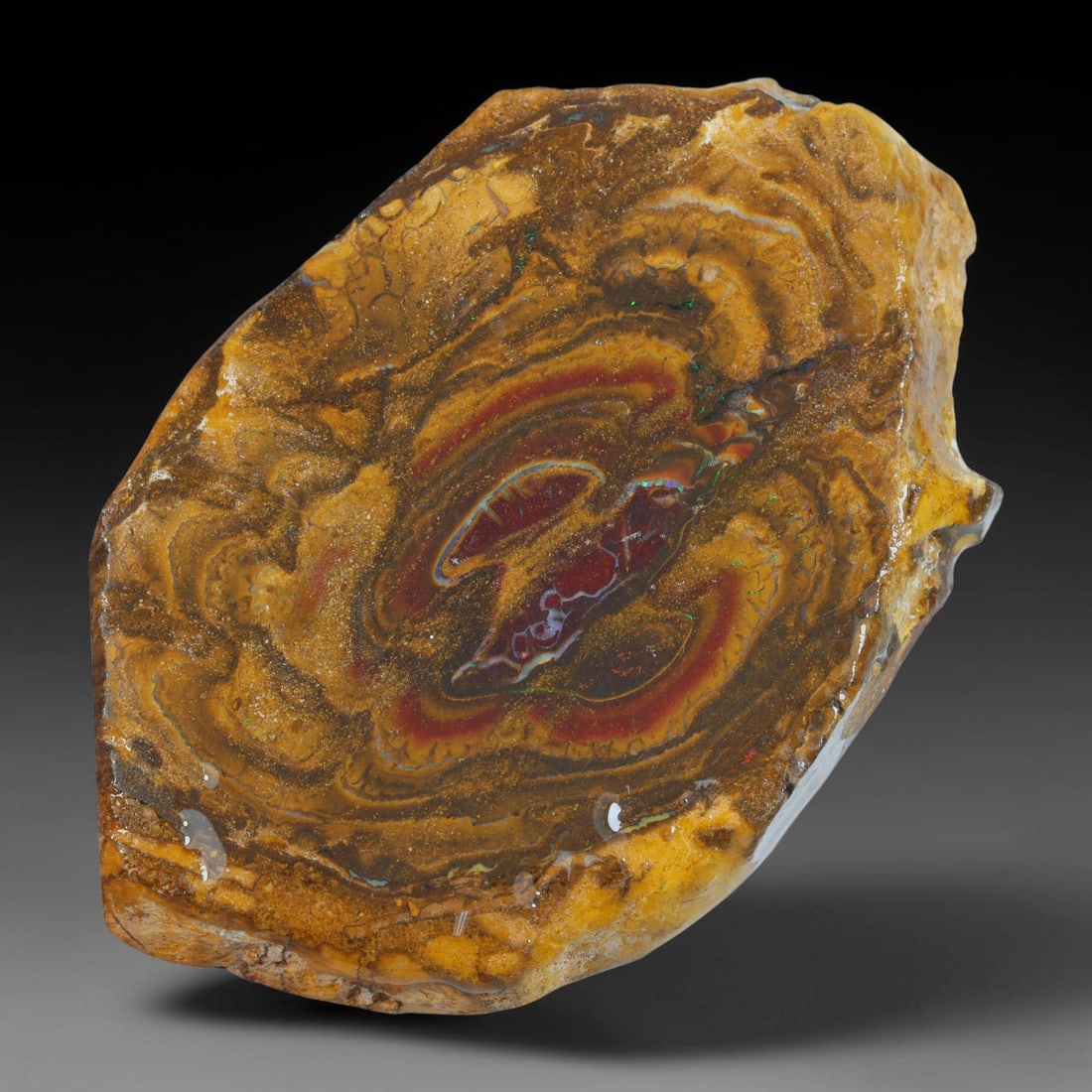 99.20ct Natural Australian Queensland Boulder Opal Sliced Slab Cutting Rough, 76YP (1 of 2)