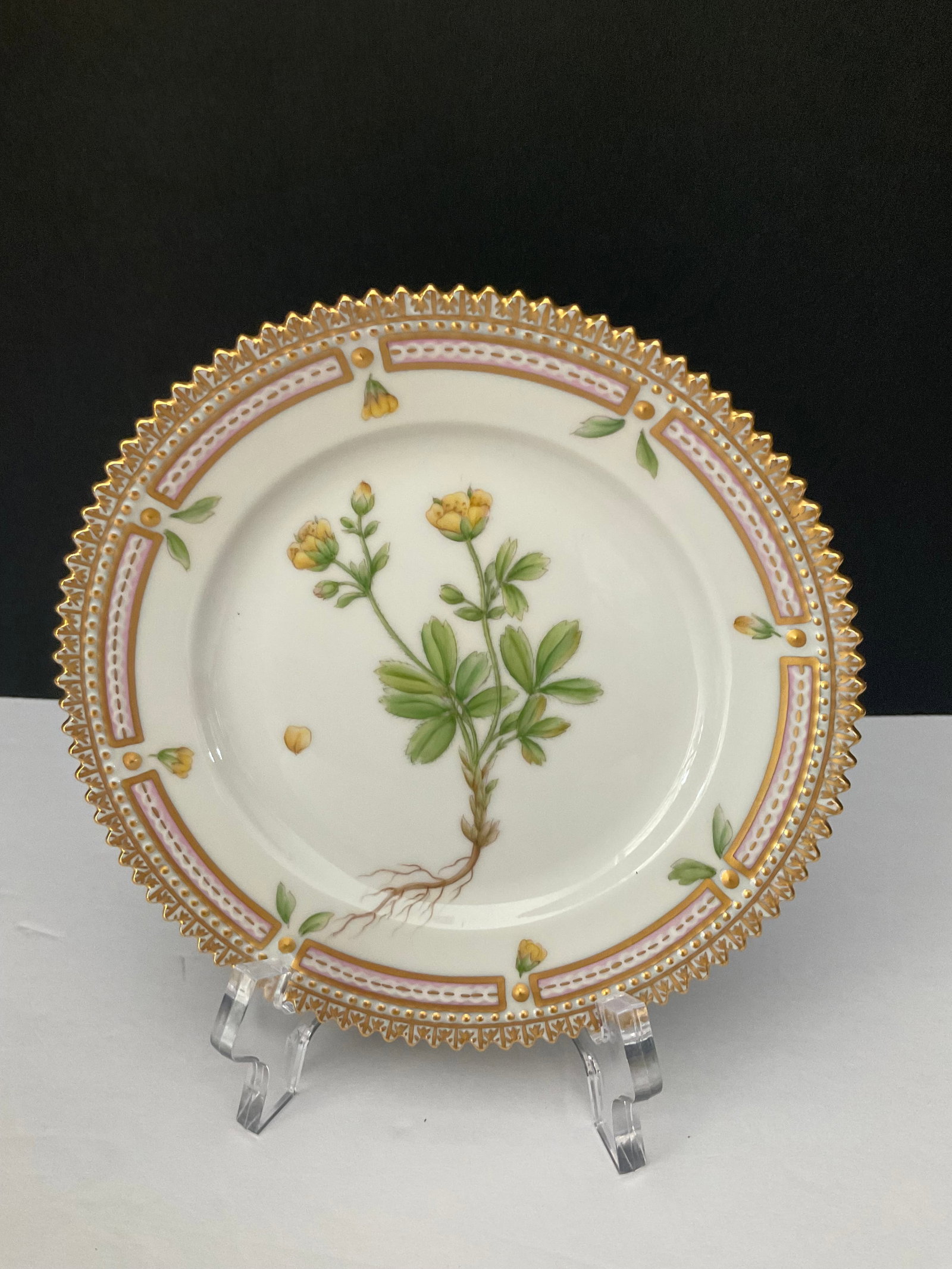 Royal Copenhagen Flora Danica Bread and Butter Plate: A beautiful Flora Danica Bread & Butter plate from Royal Copenhagen. This piece is 5.5" in diameter in very good condition. Back Stam is Potentilla retusa Miill. Numbered 20-3552 and signed by the art