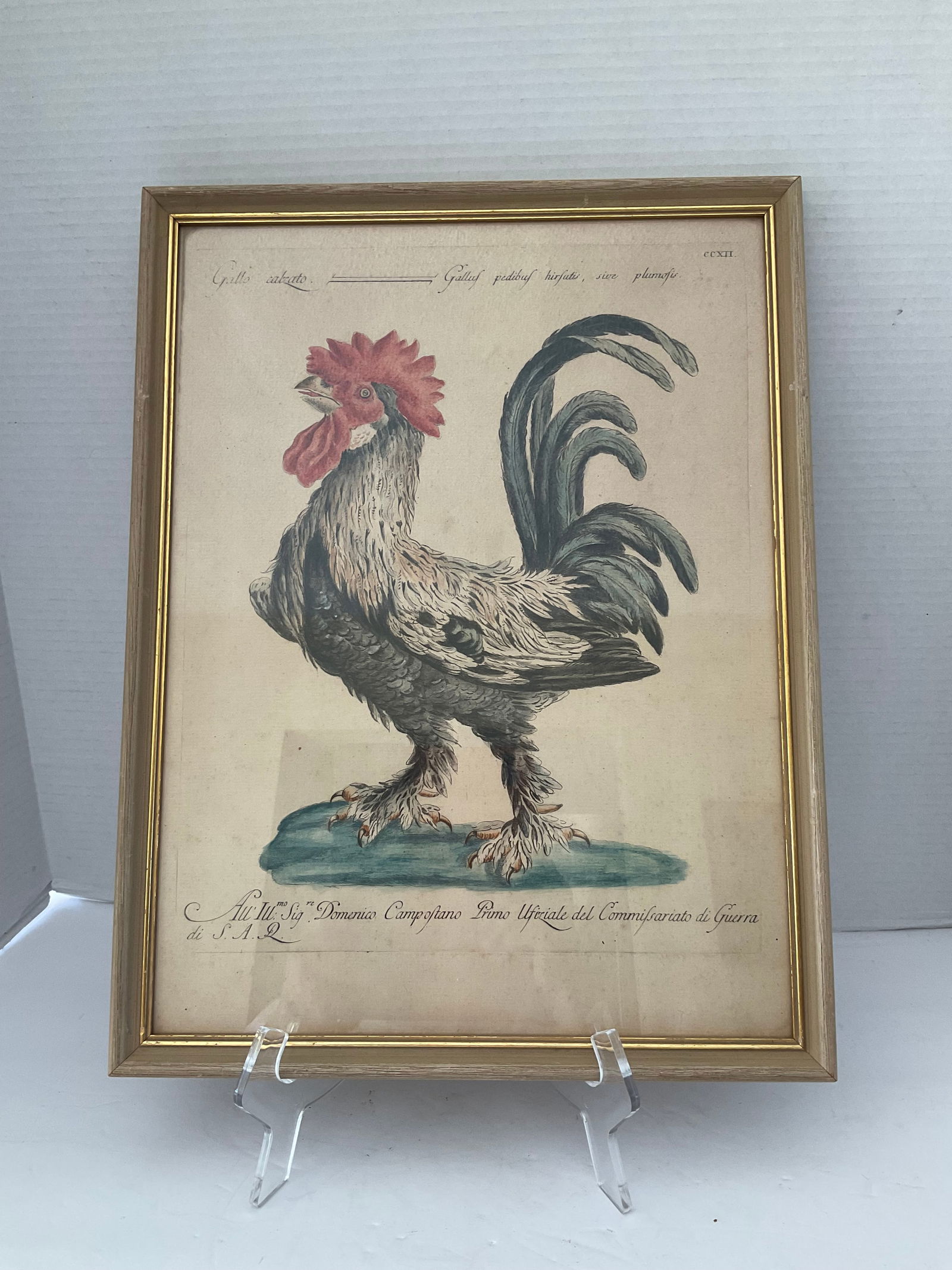 Antique Rooster Print (1 of 9)