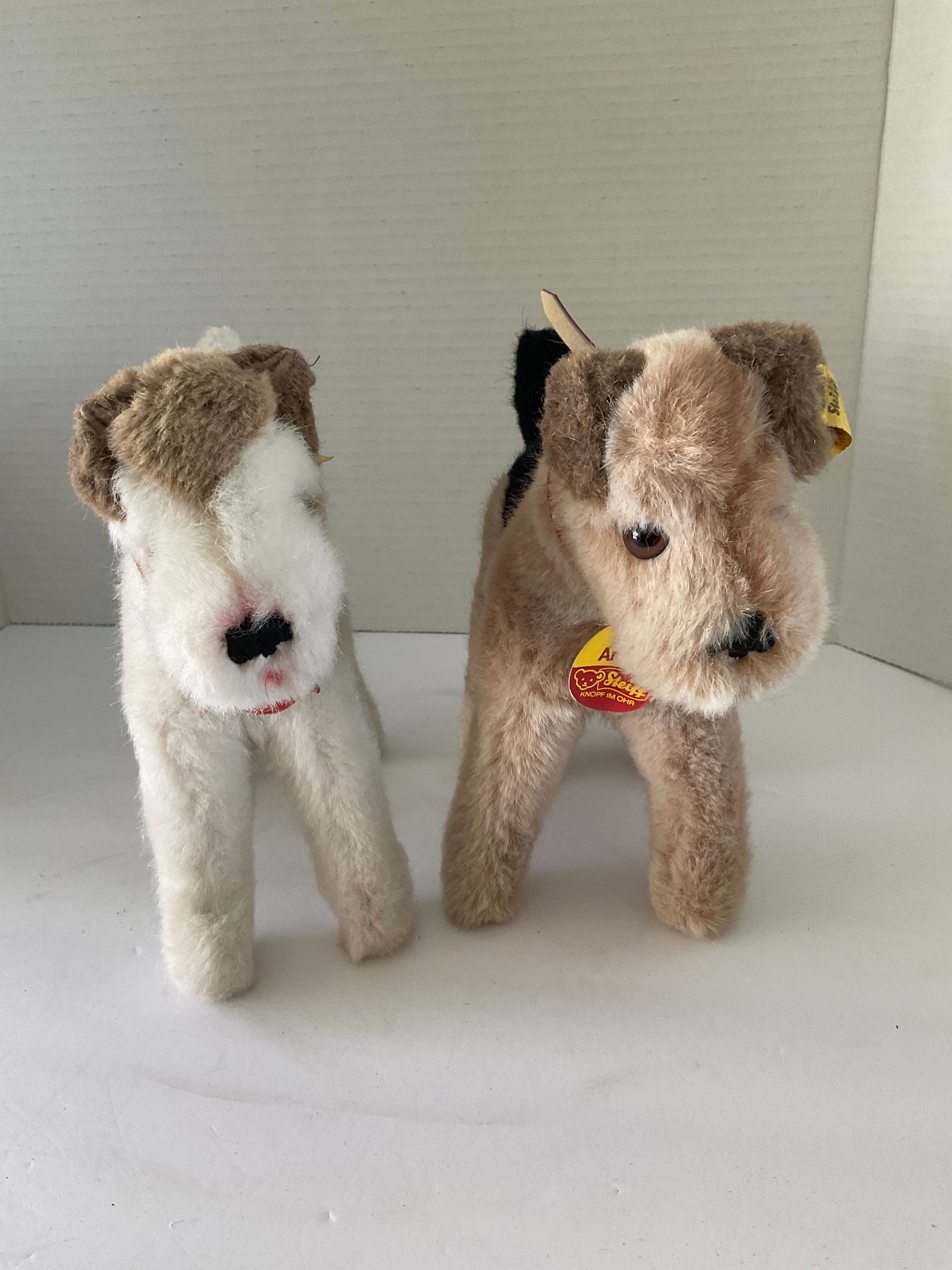 Pair of Vintage Steiff Fox Terriers - Foxy & Arry (1 of 8)