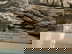 item-207479741=4