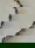 item-207479747=5