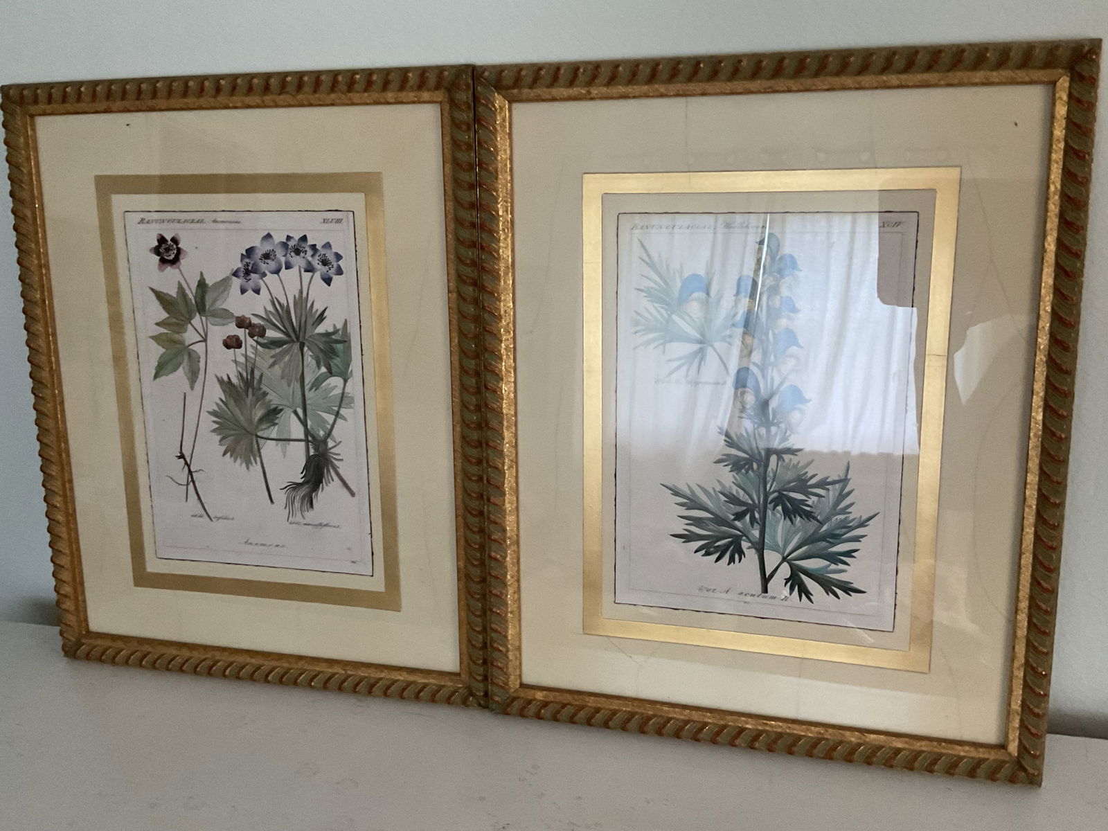 Pair of Beautifully Framed Antique Botanical Prints (1 of 14)