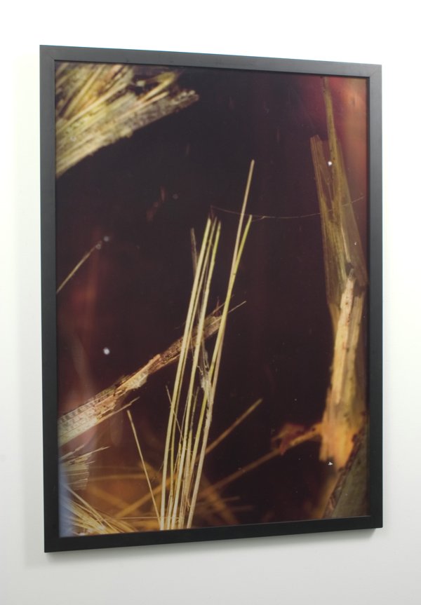 Jill Larson, Photograph