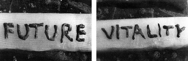 Anita Dube, Photograph: "Future Vitality", 2006, 20" x 62", Silver gelatin print, Diptych Edition 1 of 6. The artist exhibited in the museum's 2007 show featuring contemporary Indian art and sculpture, "INDIA: New Installati