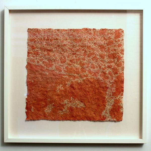 Diane Samuels: Mapping Sampsonia Part II, Close Readings, Cracks on Sampsonia, 2008 26"x25"x1" Sepia ink drawing on Abaca paper NO RESERVE