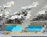 Pair Of Continental Gilt-bronze-mounted Porcelain Flower Arrangement