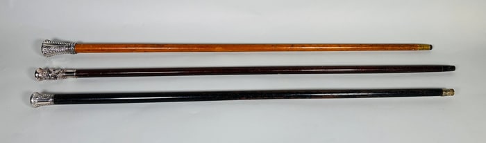 Collection Of Silver Mounted Dress Walking Sticks, C. Late 19th Century