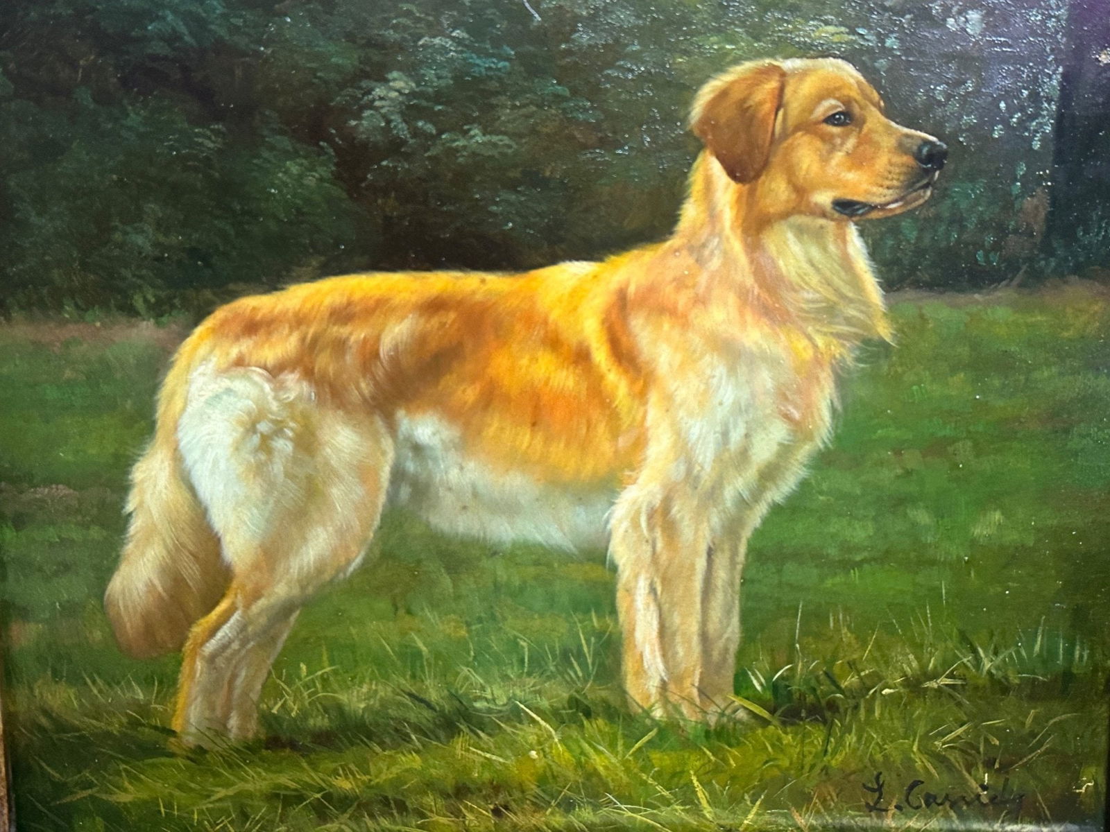 Laura E. Cassidy (American, 20th Century) Portrait Of A Golden Retriever, 20th Century (1 of 3)