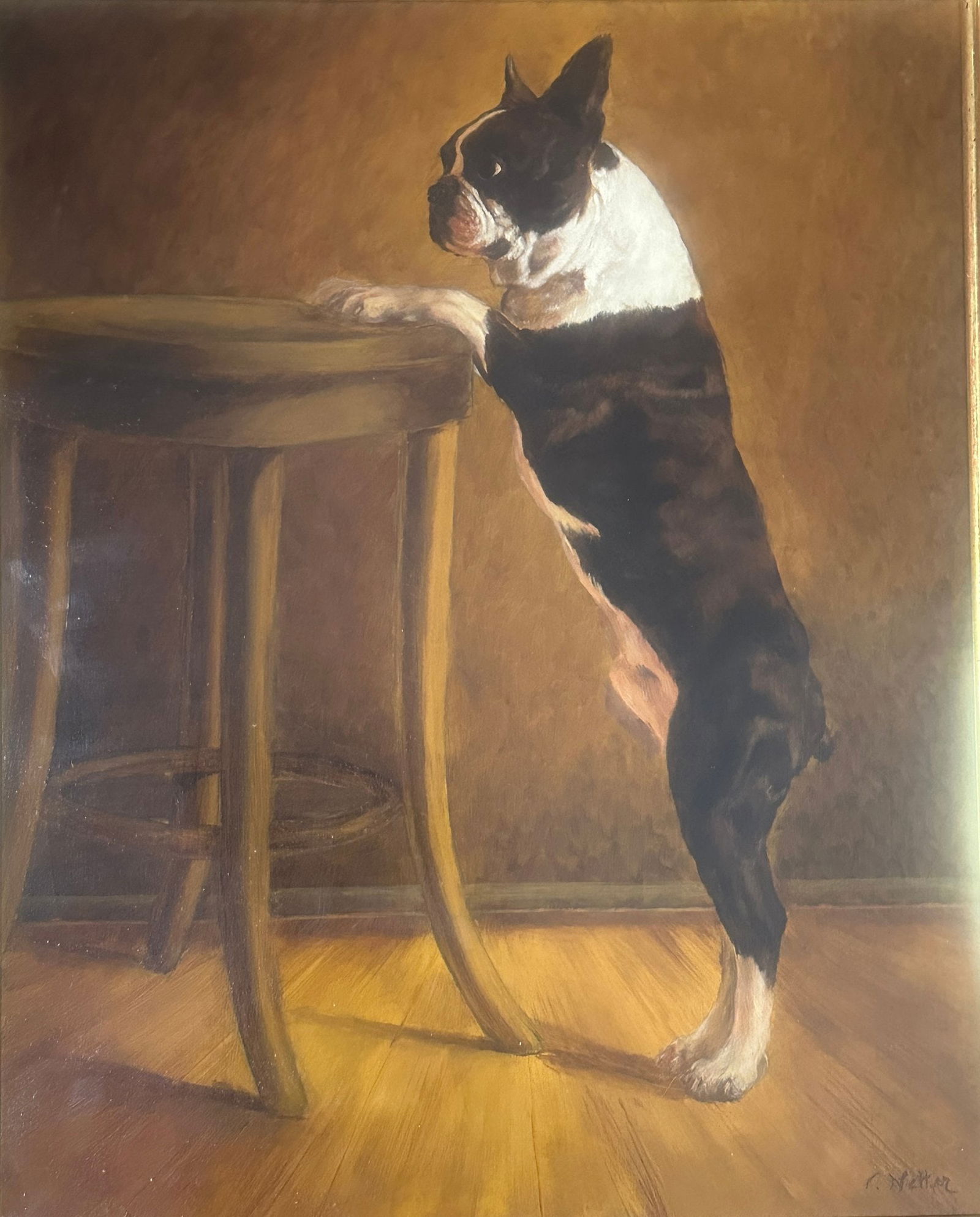 V. Netter, Boston Terrier, 20th Century: oil on canvas H: 22 x w: 19 inches (framed) H: 16 1/4x w: 13 inches (stretcher)