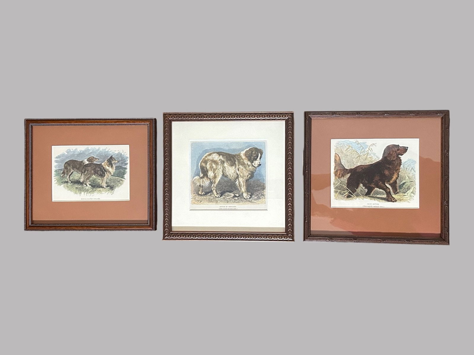 Collection Of Dog Breed Woodcuts From The Library Of Natural History, Woodcuts Of Dogs, C. 1902 (3) (1 of 7)