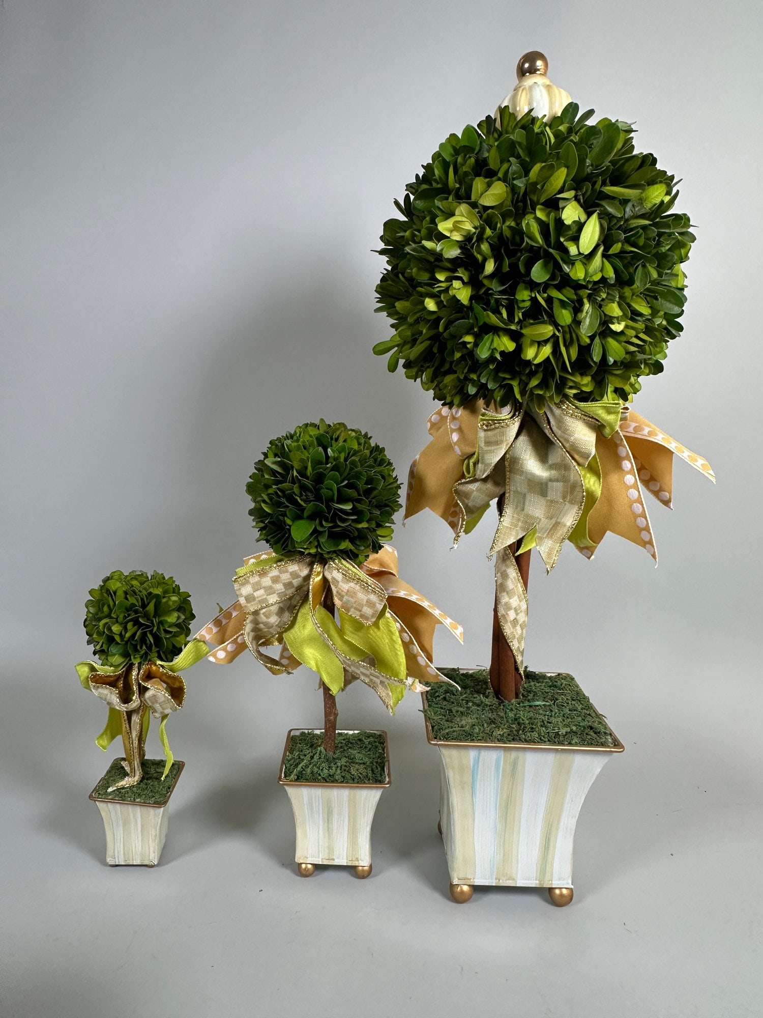 MacKenzie-Childs Preserved Boxwood Topiaries (3) (1 of 3)