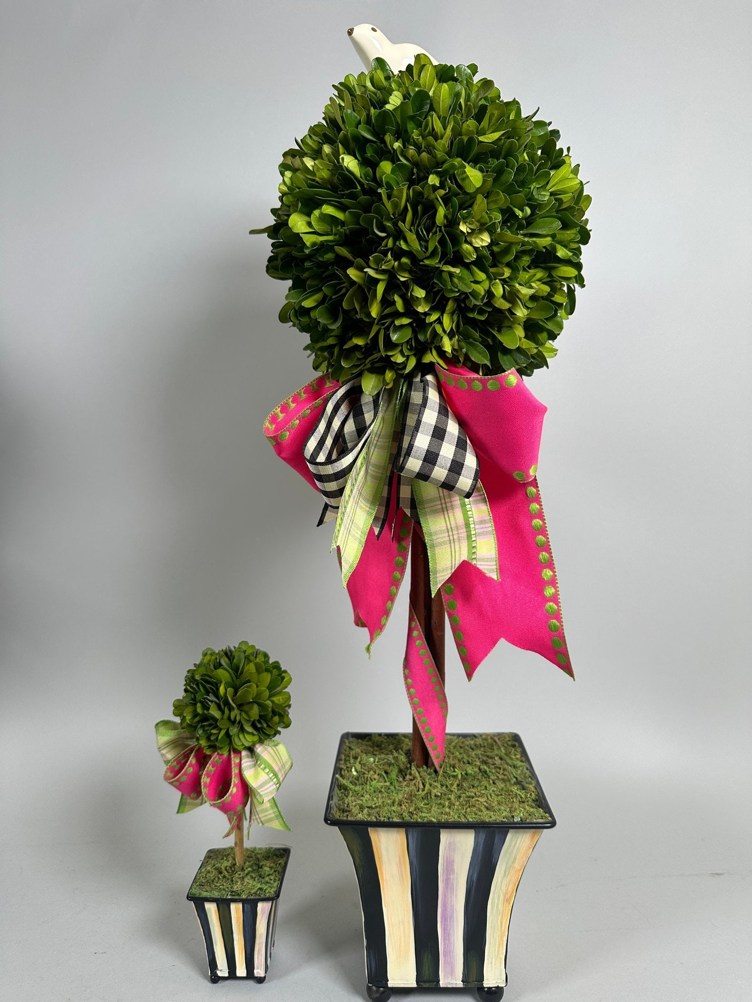 Mackenzie-childs Courtly Stripe Preserved Boxwood Topiaries (2) (1 of 4)