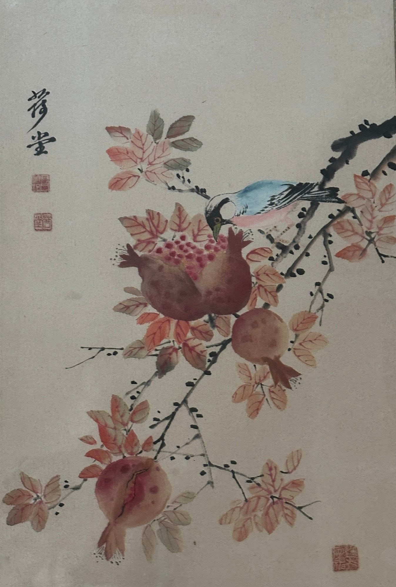 Chinese School, Bird On Branch With Pomegranate, Ink And Watercolor On Paper, 1973 (1 of 5)