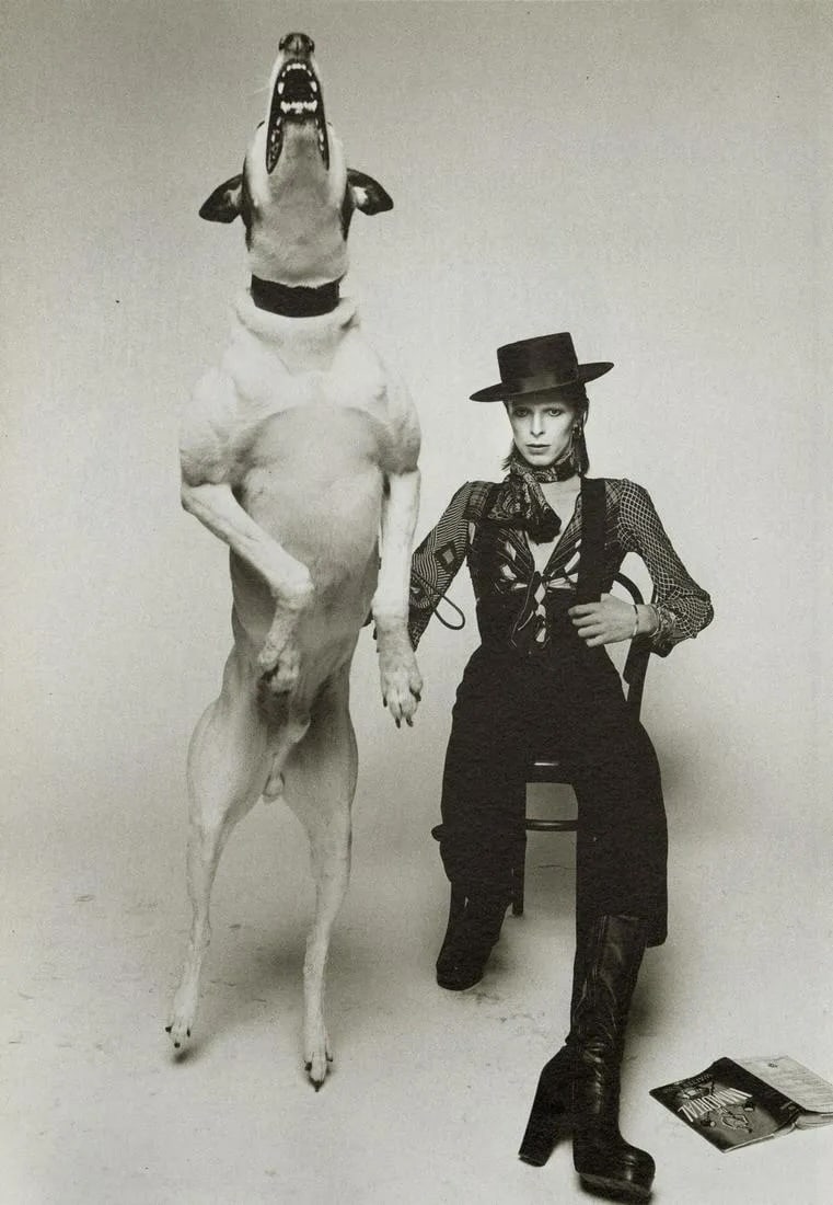Terry O'Neill - David Bowie, Diamond Dogs (1 of 1)