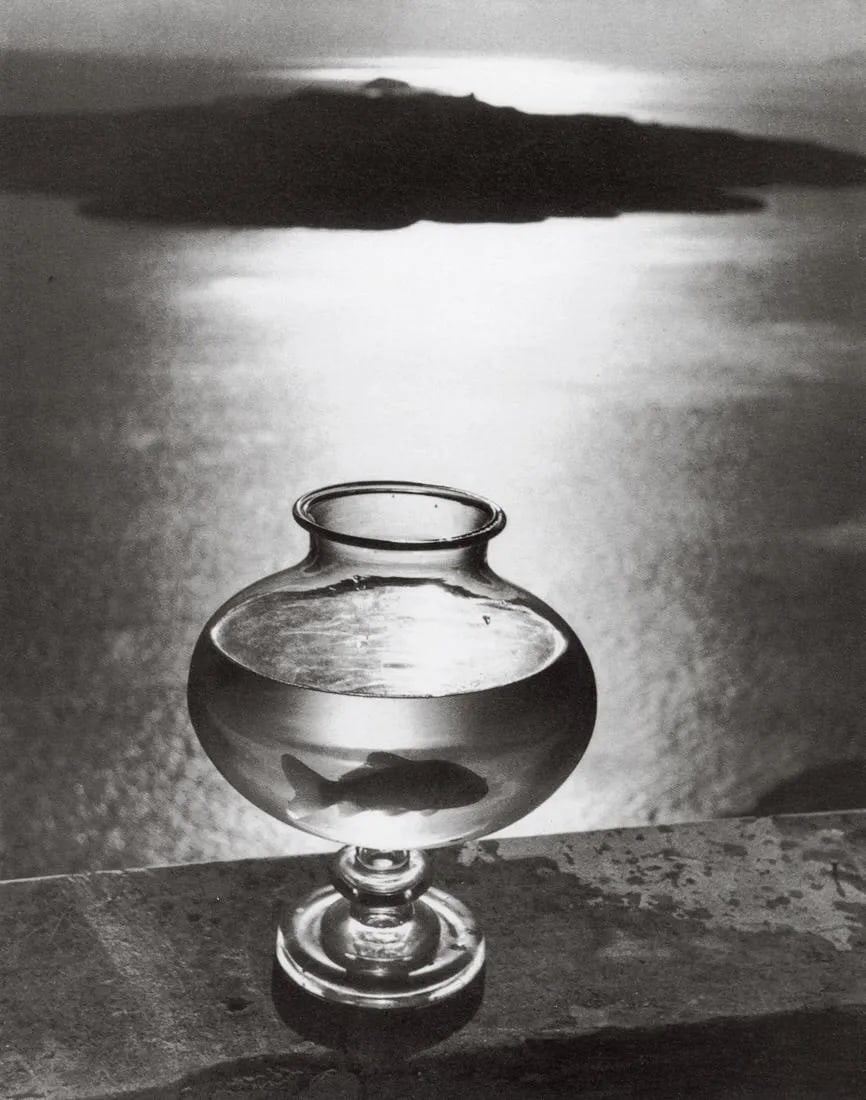 Herbert List - Goldfish Glass, 1937: Goldfish Glass, 1937Photo-litho, late 20th c.Dimensions: 6.75 x 8.6 inchesWork is mounted