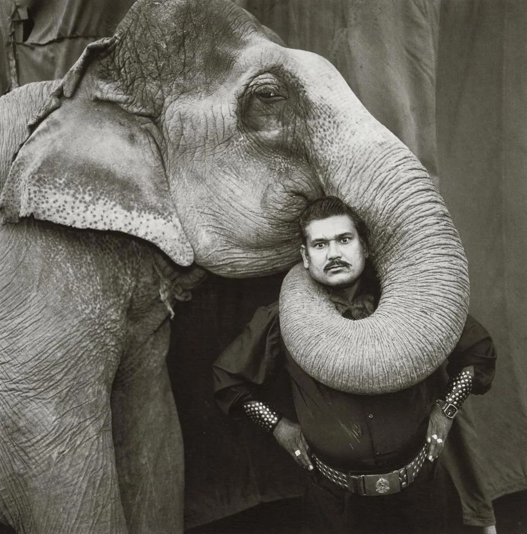 Mary Ellen Mark - Ram Prakash Singh with Elephant: Ram Prakash Singh with Elephant, 1990Photo-litho, c. 2000'sDimensions: 7.1 x 7.25 inchesWork is mounted