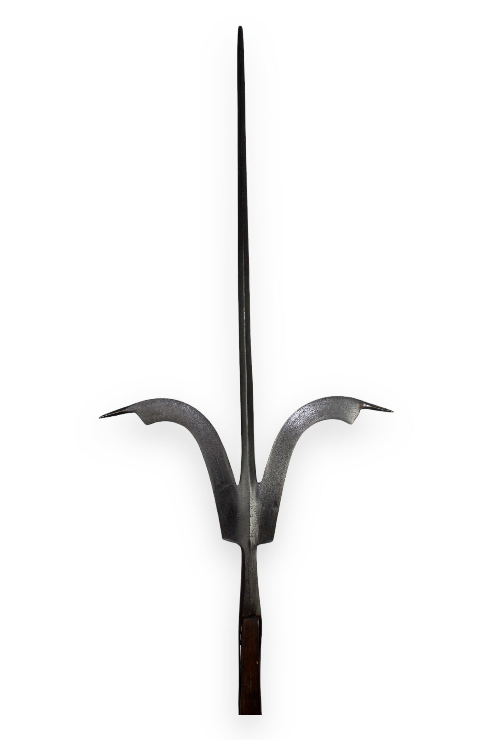 European Renaissance Friuli or Spetum Spear Polearm Circa 1580 (1 of 10)