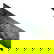 item-208763150=9