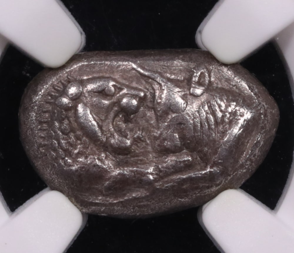 King Croesus Silver Third-Stater (Trite) – Lydia | 561–546 BC | NGC XF: This remarkable silver third-stater (trite) was struck during the reign of King Croesus of Lydia (561–546 BC), representing one of the earliest standardized silver coinages in human history. Cro