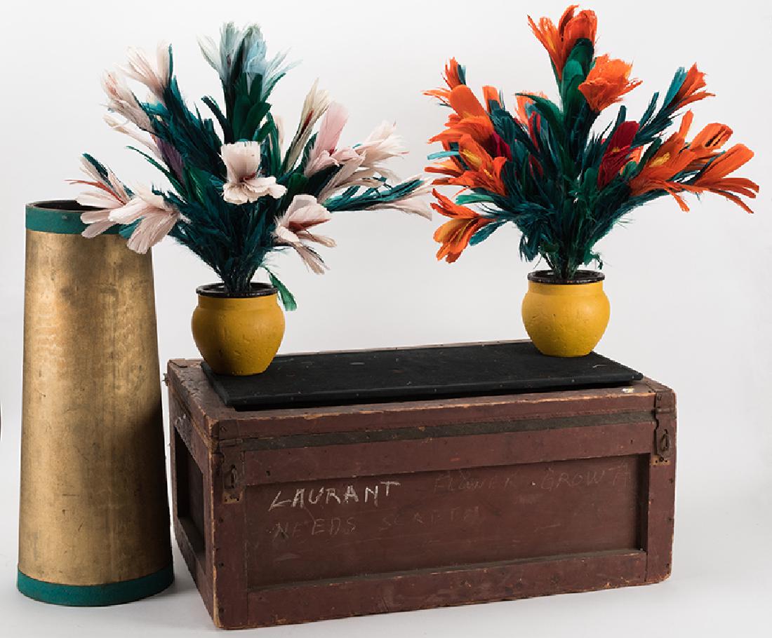 Eugene Laurant's Kellar Flower Growth. (1 of 1)