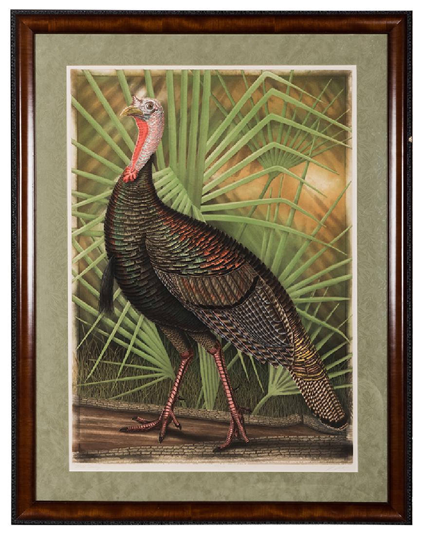 Costin, John. Wild Turkey.: Costin, John (American, b. 1955). Wild Turkey. Color etching, signed, titled, and numbered (203/250) by the artist in the lower margin. Framed, 44 x 34" overall. Slight damage to frame edge, otherwise