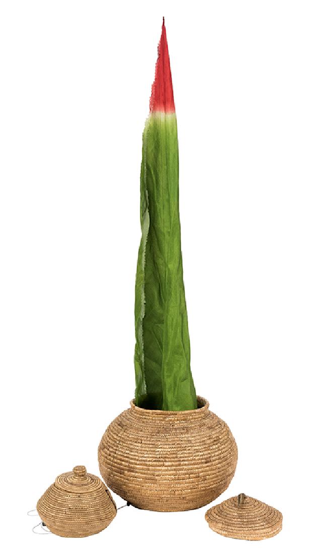 Pair of Gimmicked Baskets and a Costume. (1 of 2)