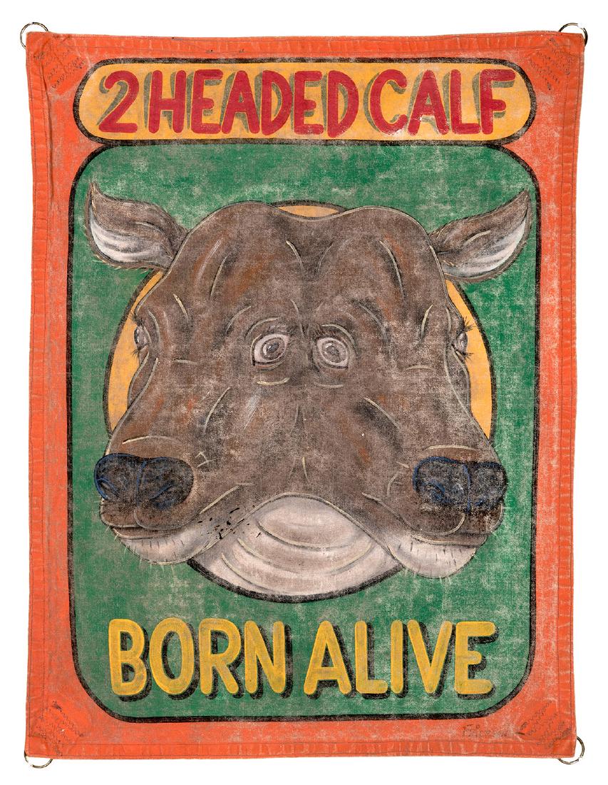 Two Headed Calf. Born Alive. Miniature Sideshow Banner. (1 of 1)