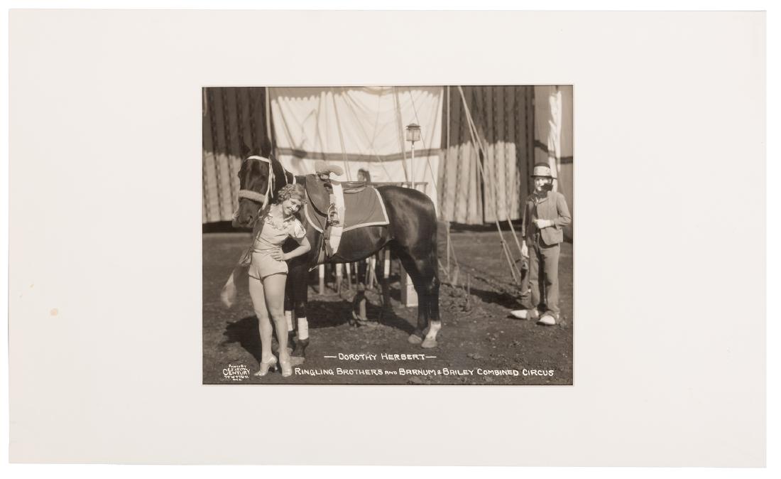 Dorothy Herbert. (1 of 1)