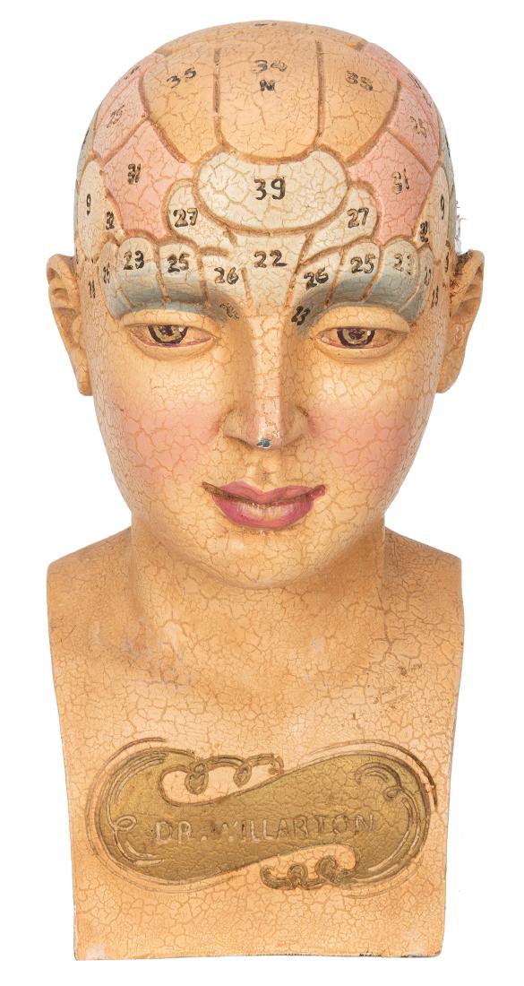 Dr. Willarton Phrenology Bust. (1 of 6)