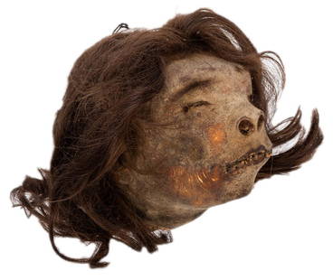 Vintage Shrunken Head.: Vintage Shrunken Head. South American, early twentieth century. Displayed at Johnny Fox's Freakatorium as an authentic shrunken head, but more likely an excellent vintage facsimile. Amazonian Jivaro t