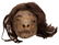 Vintage Shrunken Head. - 2