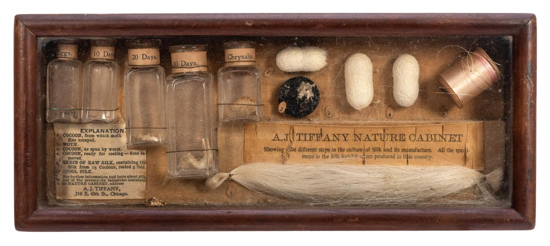 Industrial Cabinet Silk Exhibition.: Tiffany, A.J. Industrial Cabinet Silk Exhibition. Chicago, 1905. Wooden shadow box containing five glass vials with silk worms in various stages of development and the six stages of silk production fr