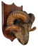 Antique Ram / Sheep Head Taxidermy Mount.
